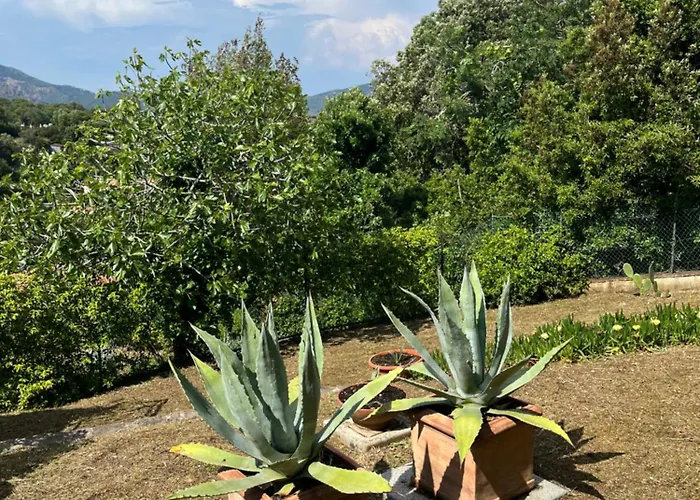 Residenza Le Agavi In Apartament