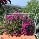 Apartamento Residenza Le Agavi In *