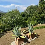 Residenza Le Agavi In Apartamento