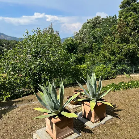 Residenza Le Agavi In Apartment
