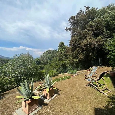 Residenza Le Agavi In Apartment