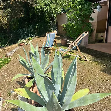 Appartamento Residenza Le Agavi In