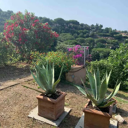 Residenza Le Agavi In Capoliveri (Isola d'Elba)